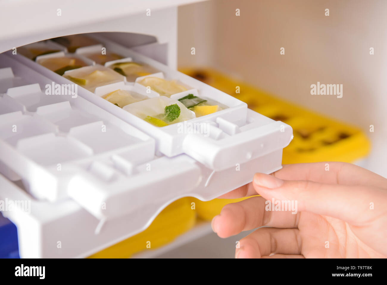 Woman putting tray with citrus fruits frozen in ice cubes into refrigerator Stock Photo