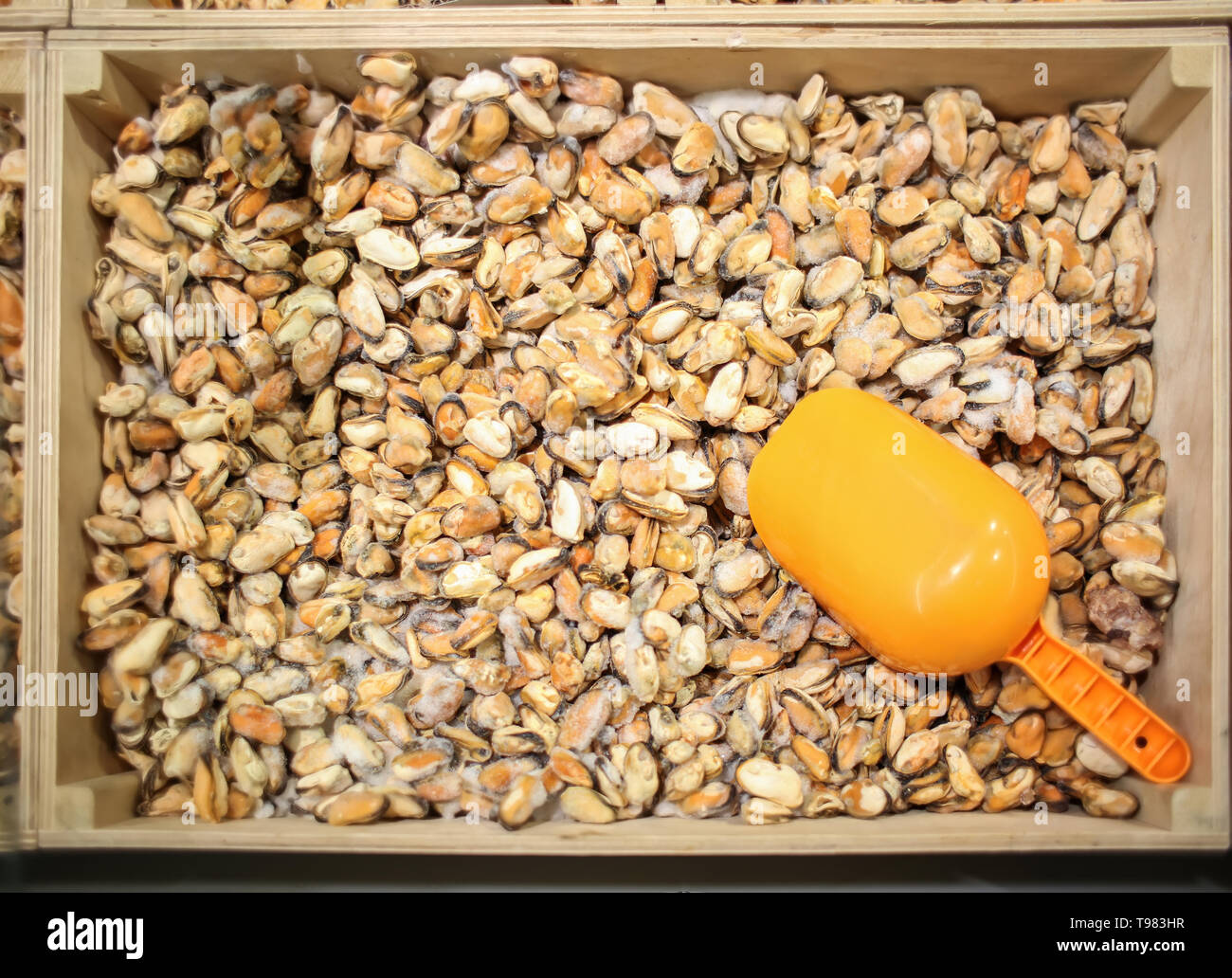 Box with frozen mussels on counter in store Stock Photo Alamy