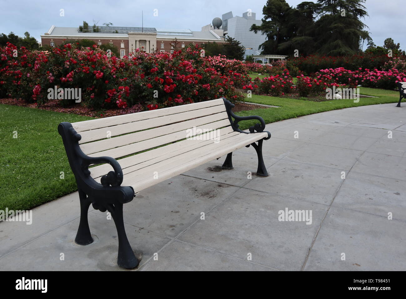 Exposition Park Rose Garden Los Angeles California Stock Photo
