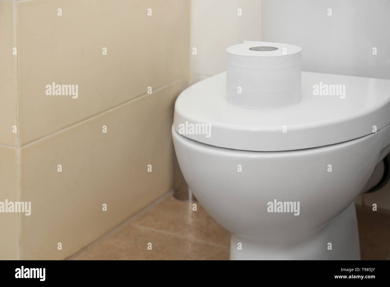 Roll of toilet paper on cover of toilet bowl in restroom Stock Photo