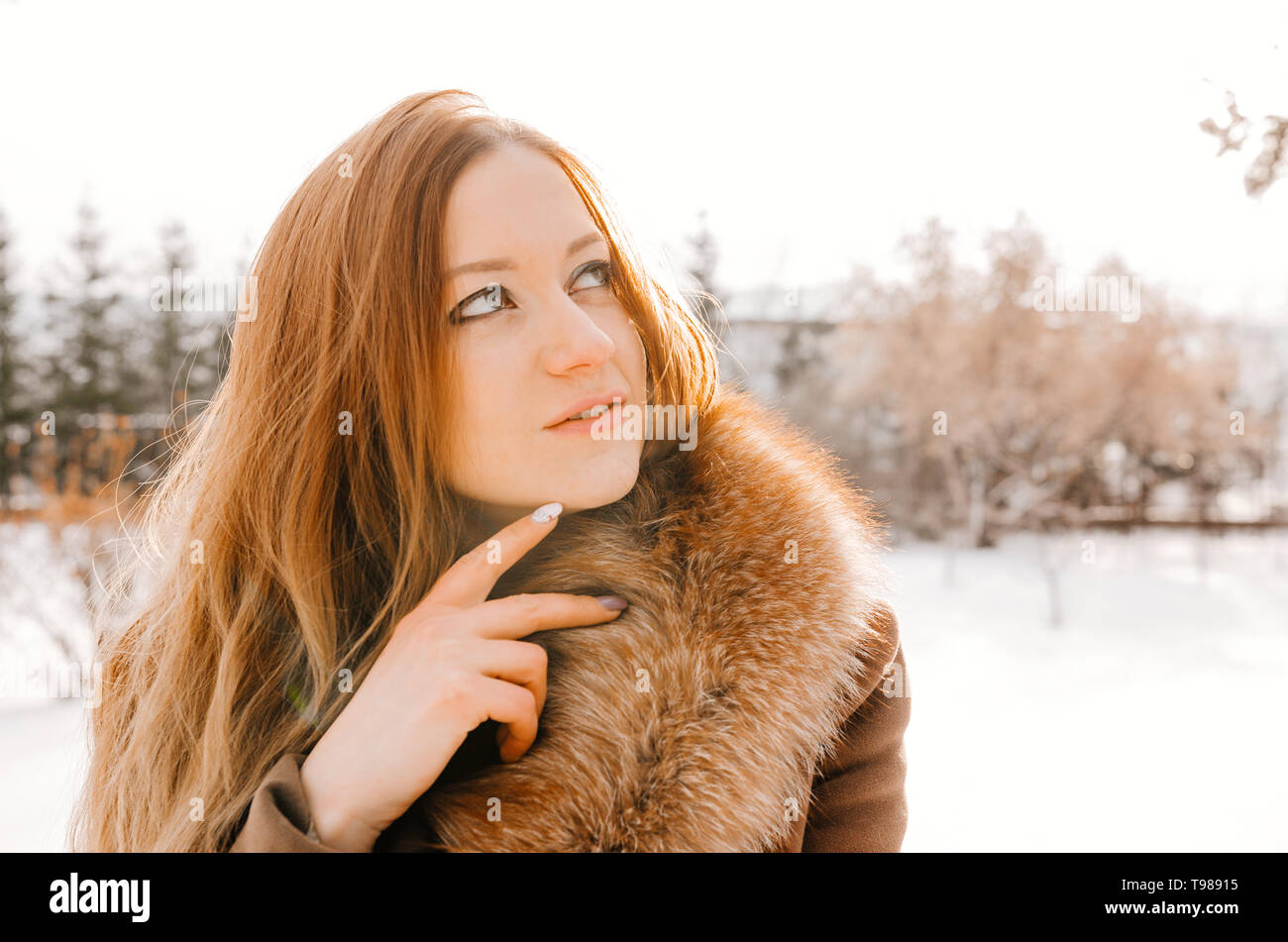 Attractive elegant woman in winter hi-res stock photography and images ...