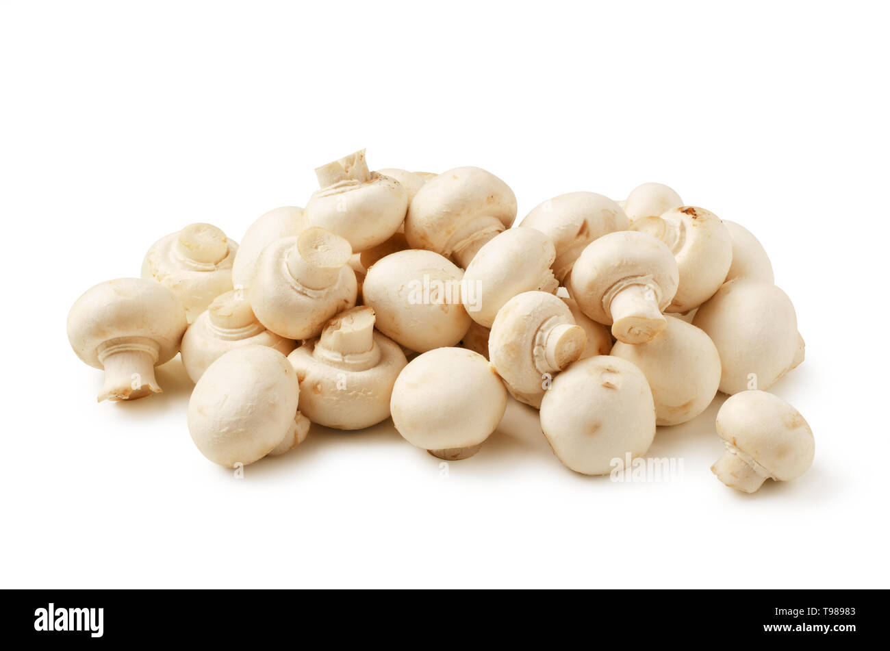 Mushrooms champignon isolated on white background Stock Photo