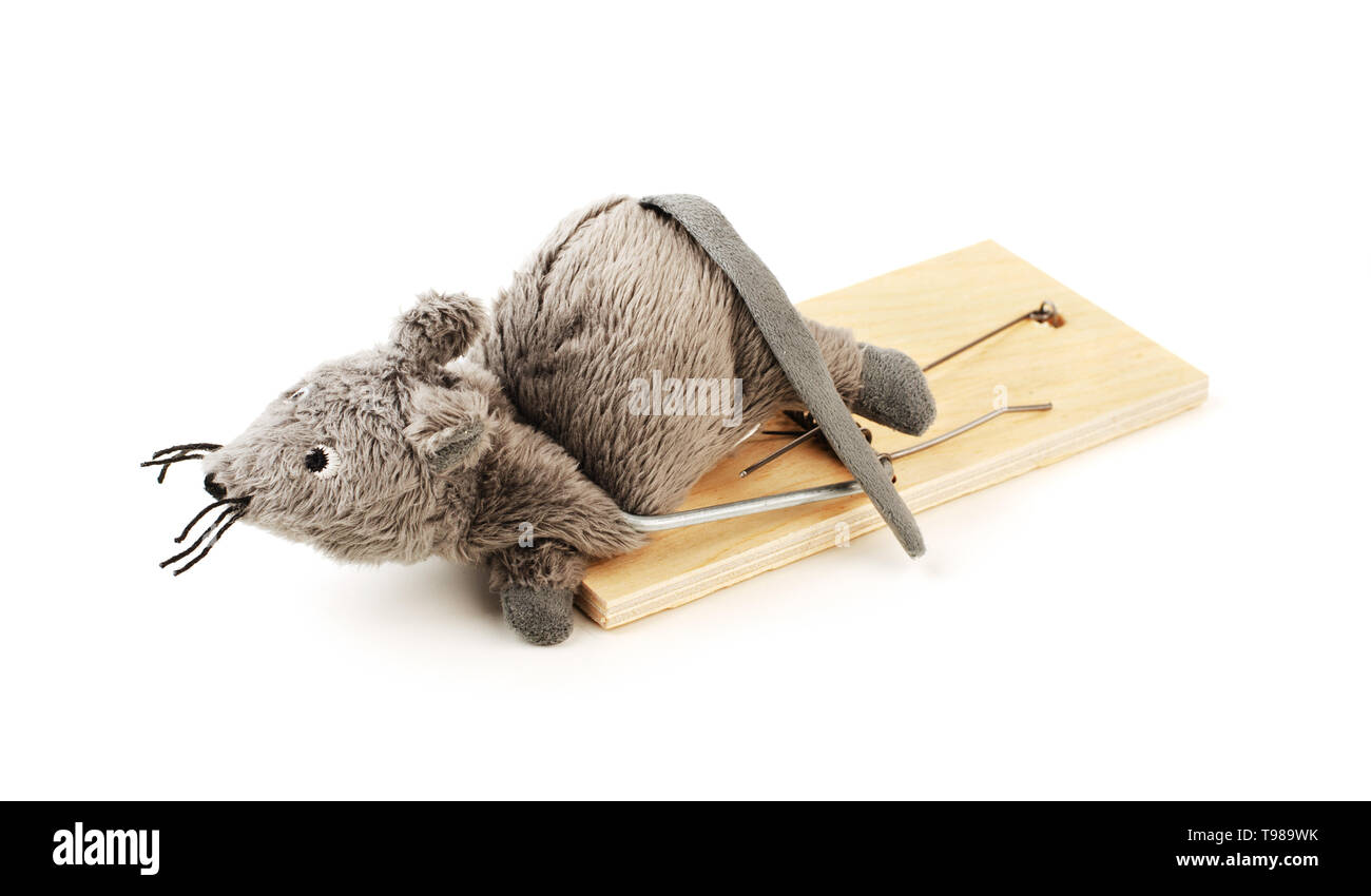 Toy mouse in a mousetrap isolated on a white background Stock Photo