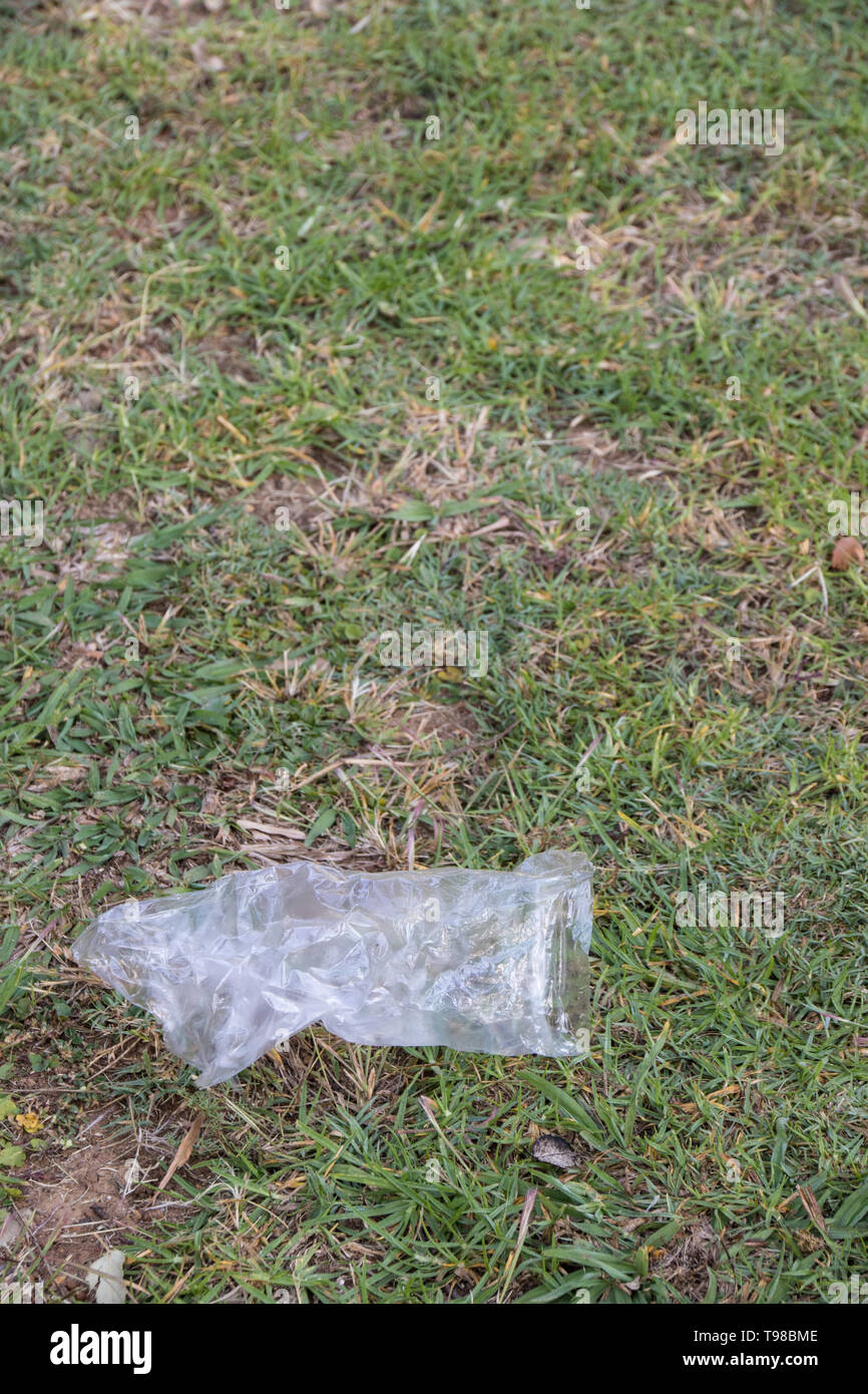 An isolated singleuse plastic bag lies abandoned in nature image with