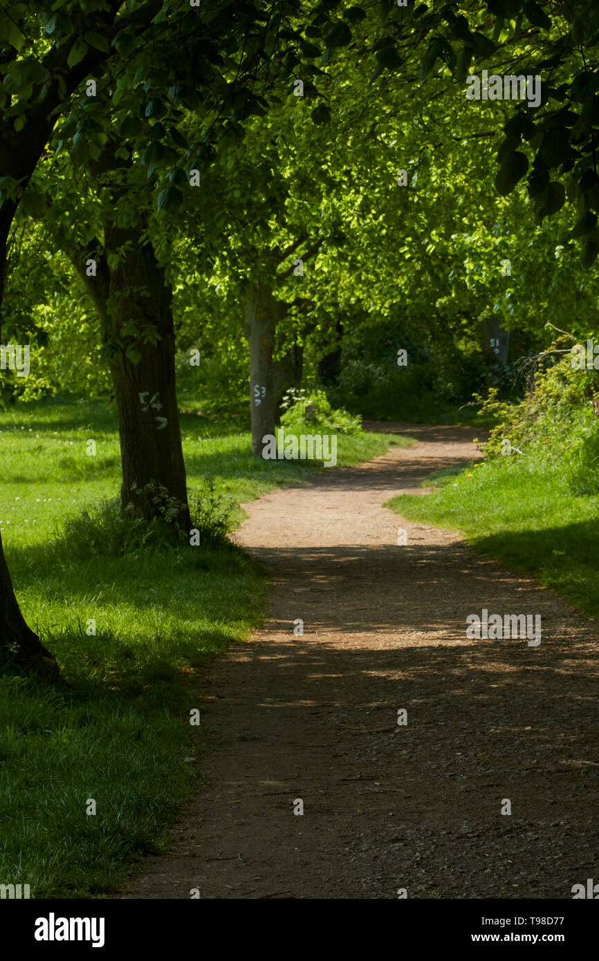 Tree lined round Evesham footpath at the Evesham suburb of Hampton