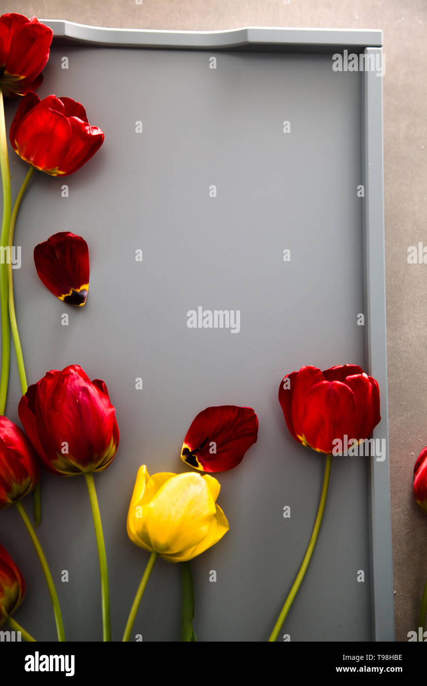 Red Tulips on table. Spring Easter flowers. Stock Photo