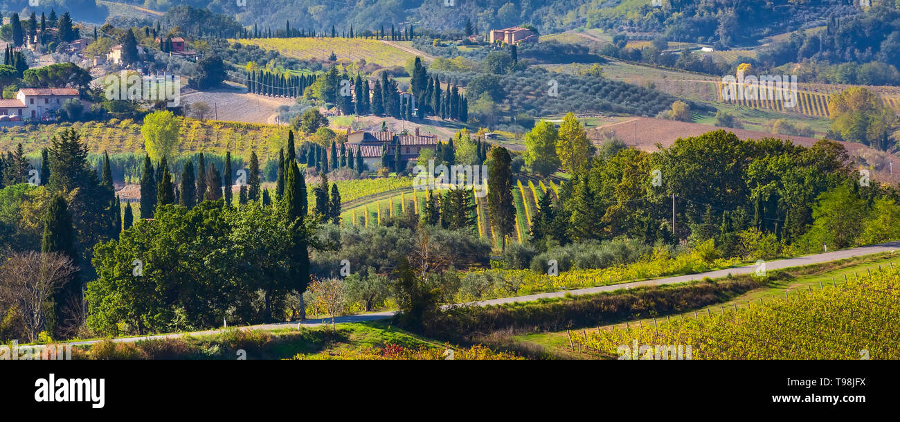 Tuscan panoramic banner landscape with vineyards, cypress trees, houses ...