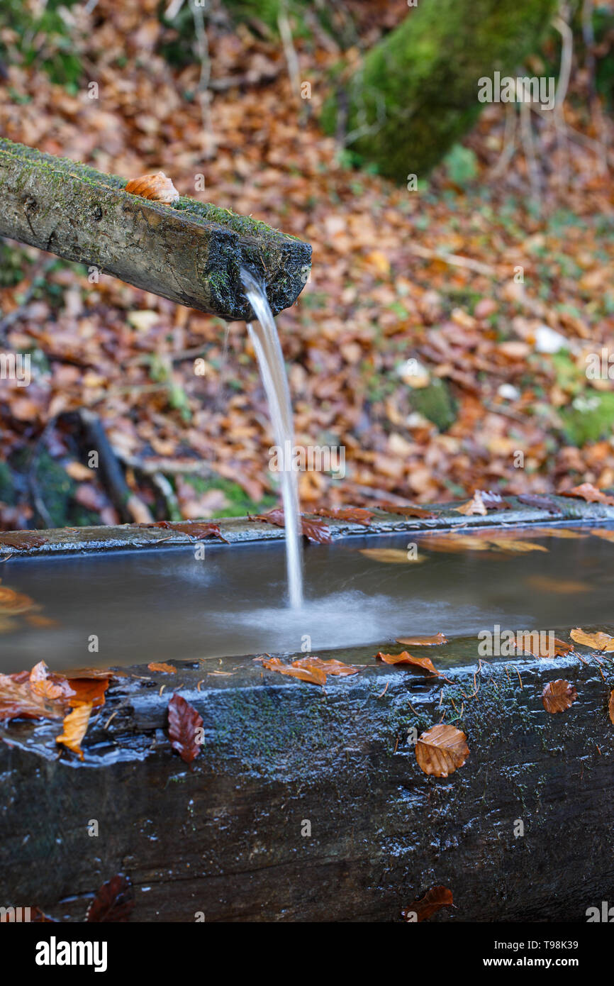 Natural mountain spring water source flowing through forest