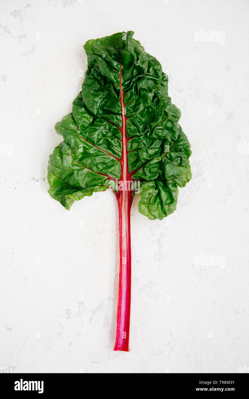 Swiss chard leaf on a rugged white background Stock Photo