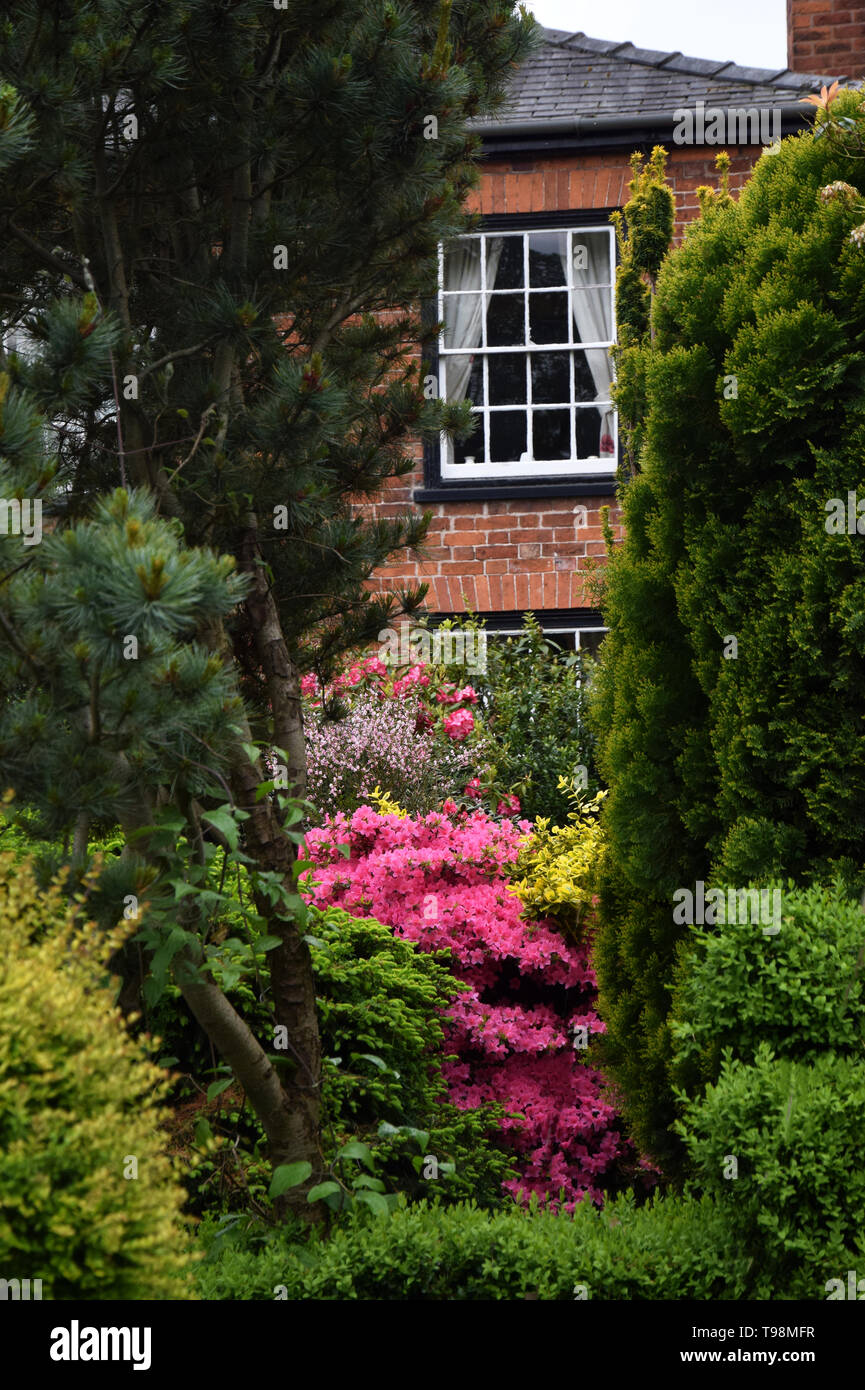 house, north wales, uk Stock Photo Alamy