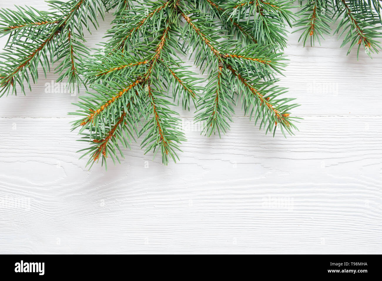 X-mas fir tree branch isolated on white wooden background. Pine branch. Christmas background Stock Photo