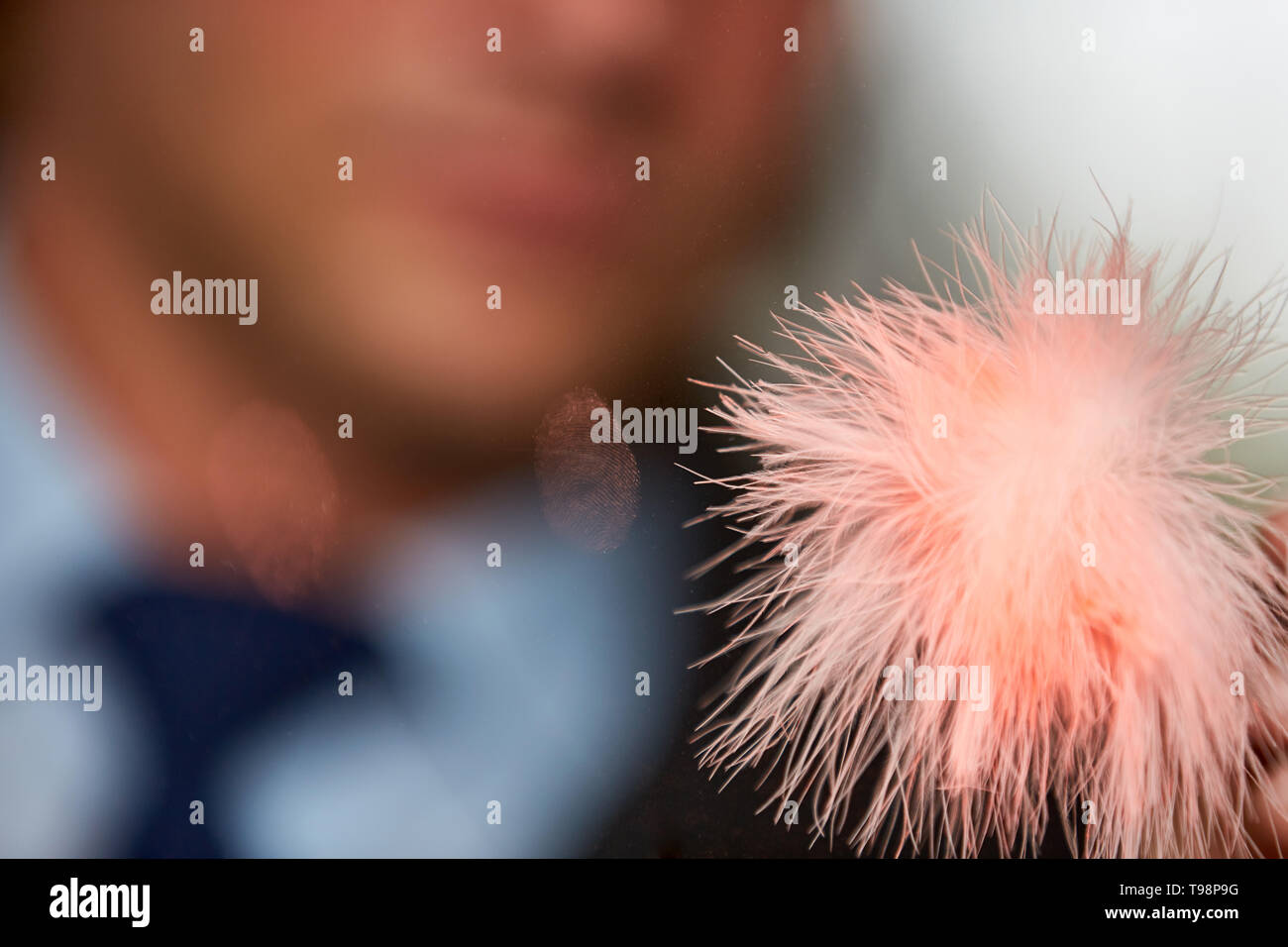 Fingerprint find at the window at forensics after burglary Stock Photo