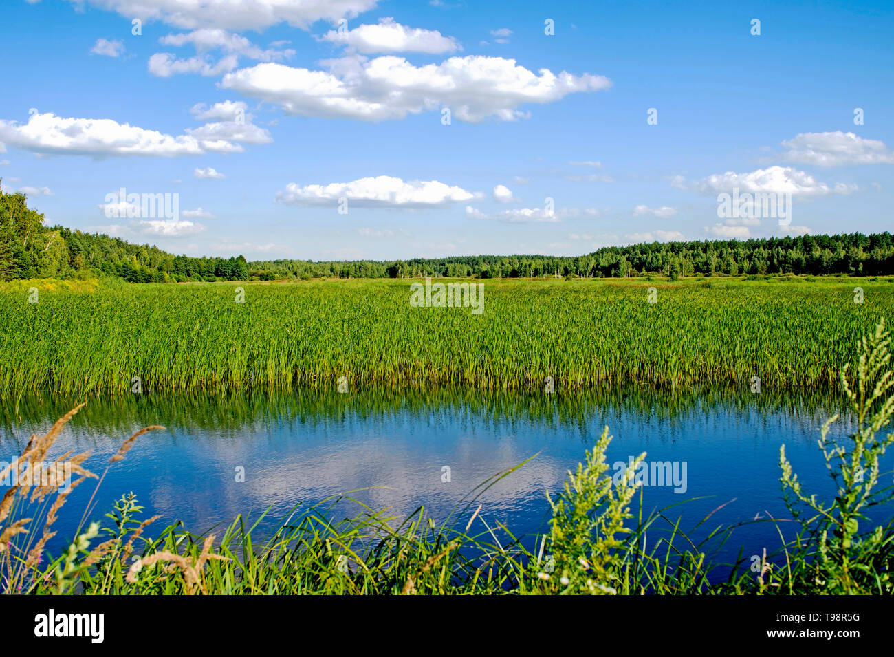 Summer desert landscape with swampy terrain and picturesque textured clouds. Background, splash. Stock Photo