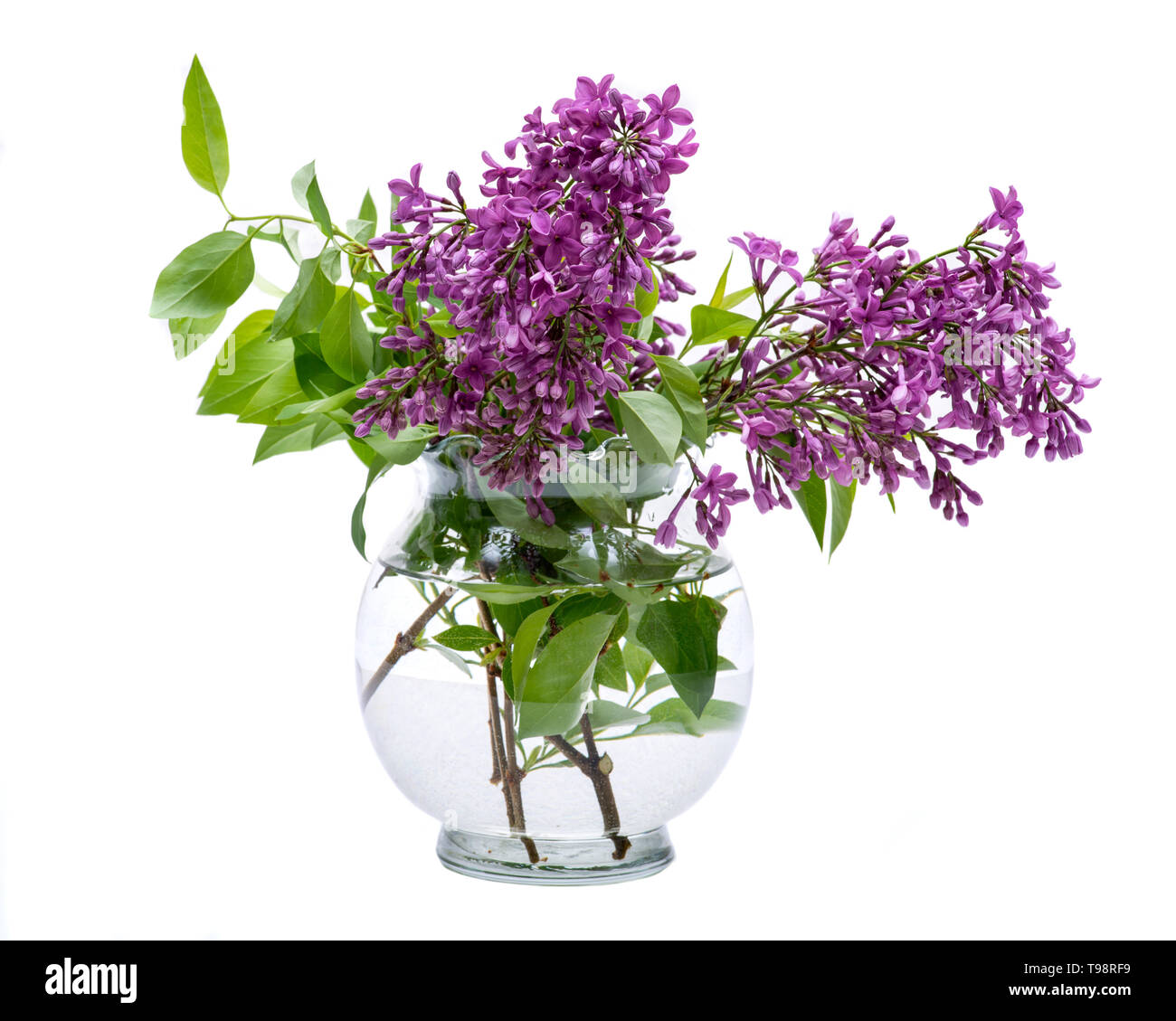 My Image 11
