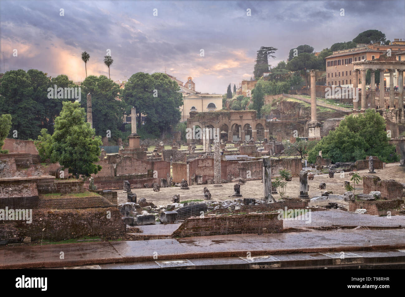 View of the Roman Forum with adjoining buildings in rainy weather. Stock Photo