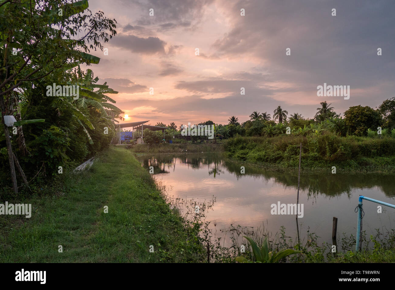 Woodland planting on farm hi-res stock photography and images - Alamy