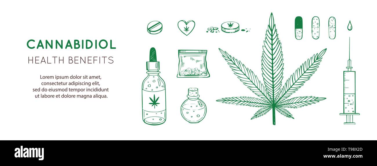 Cannabidiol Health benefits Vector background, banner. Hand drawn Infographic set of medical Cannabis, marijuana. Pills, bottles, oil and other Stock Vector