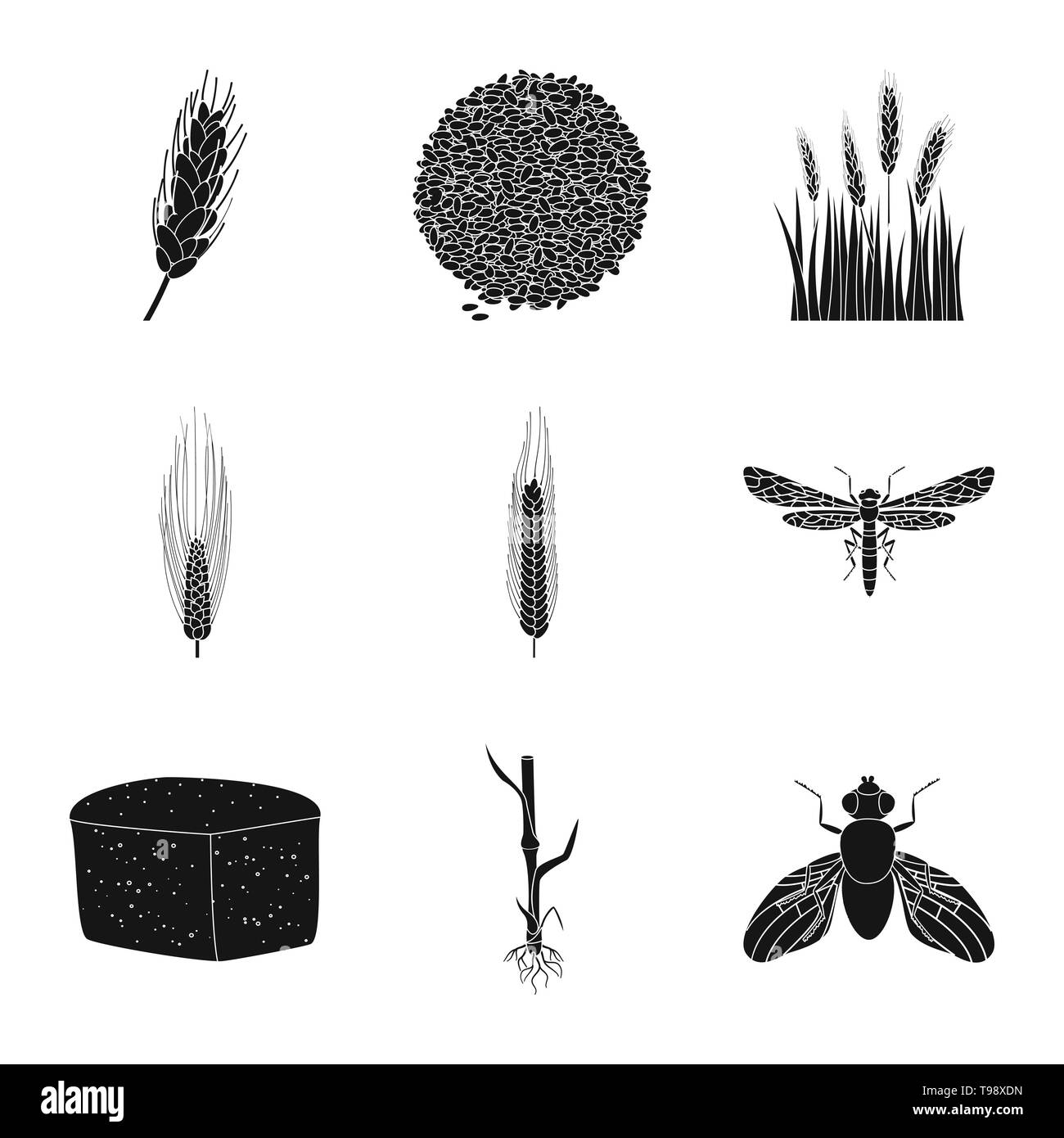 Crop pest Black and White Stock Photos & Images - Alamy