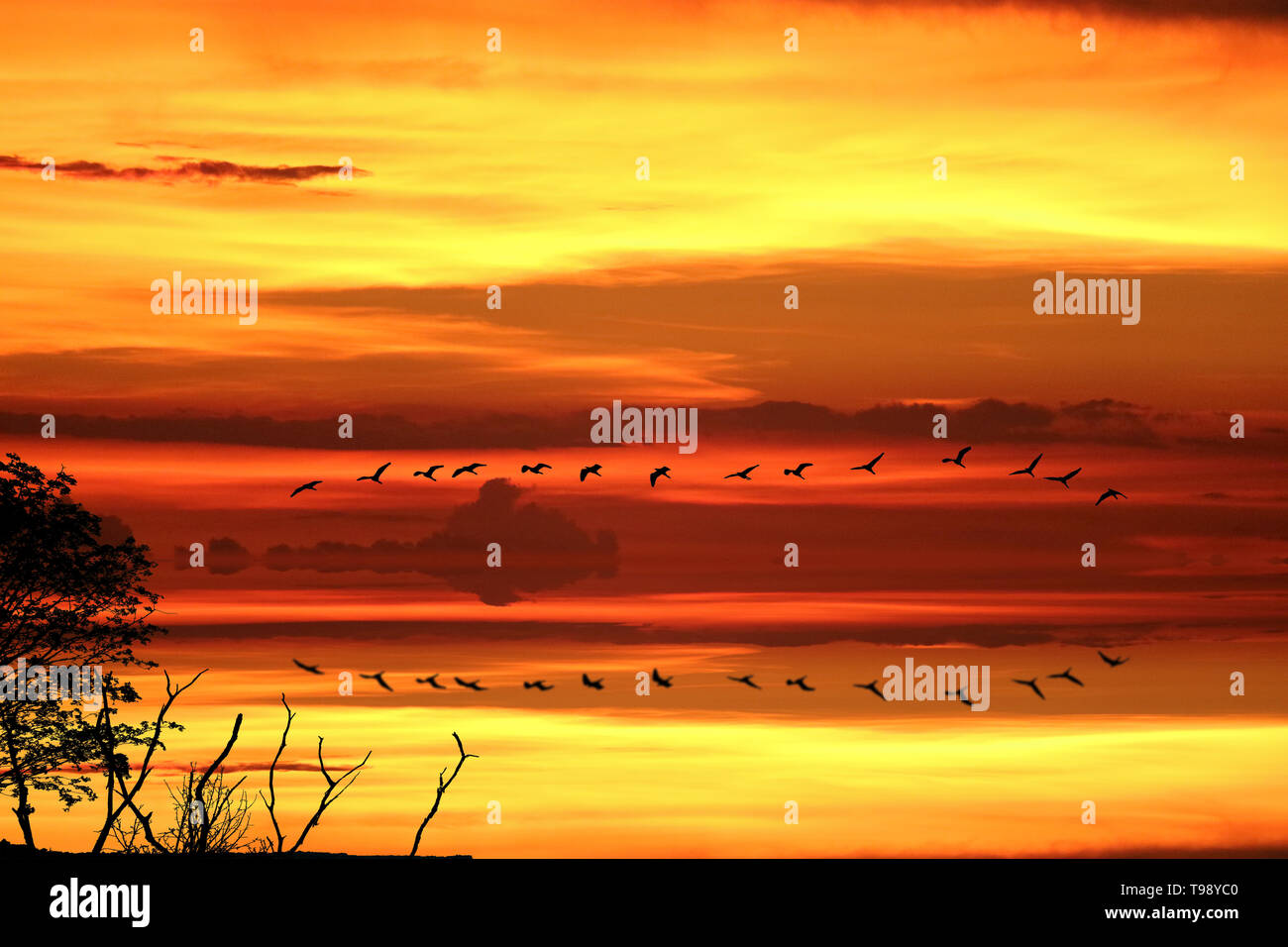 reflection of sun dawn on sea silhouette ship on sky line Stock Photo ...