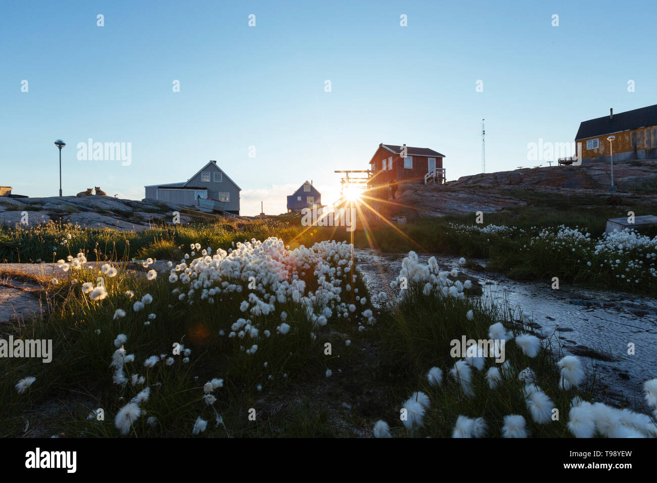 Village in Disko Bay at Midsummer, Greenland Stock Photo