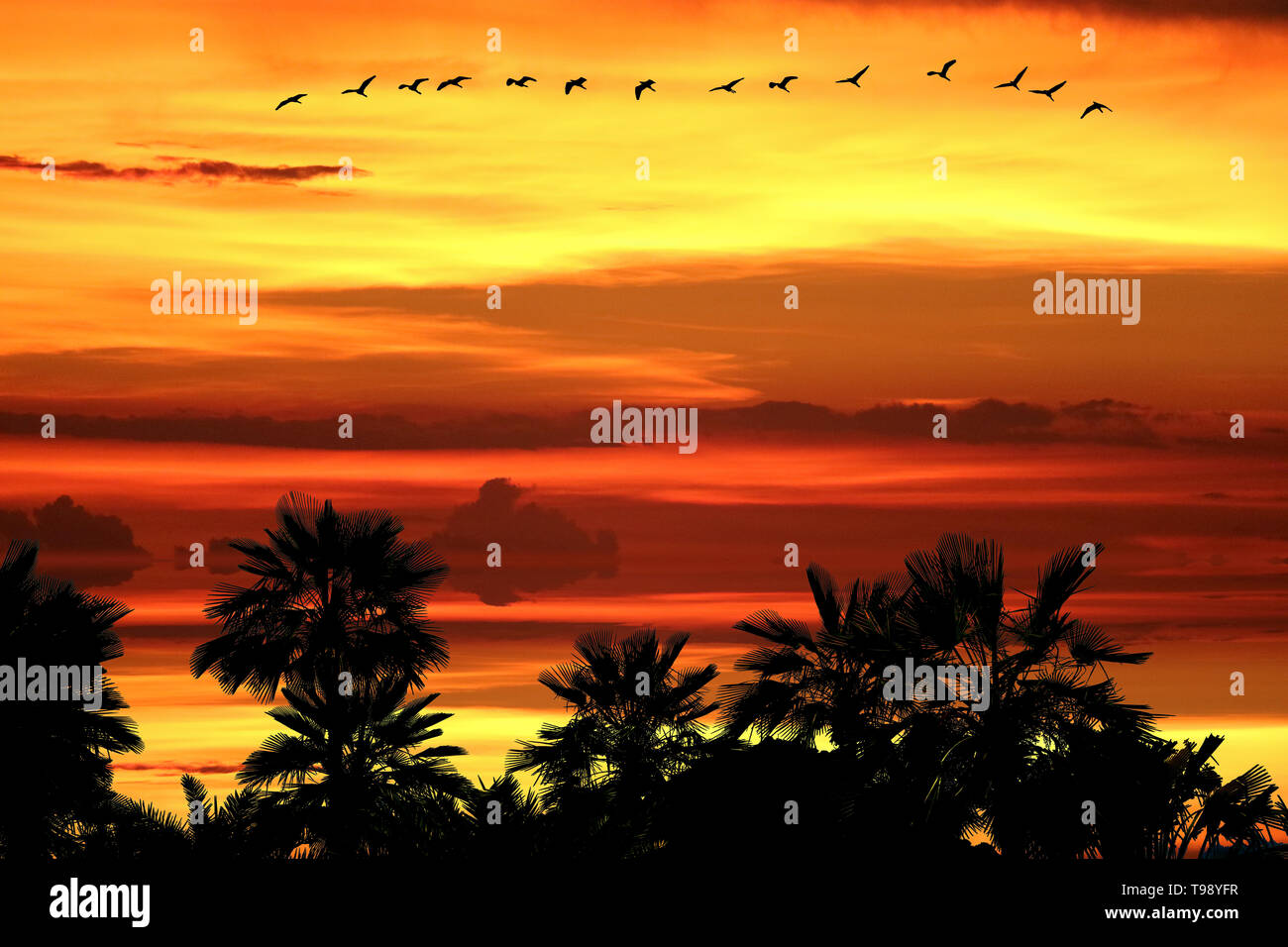 reflection of sun dawn on sea silhouette ship on sky line Stock Photo ...