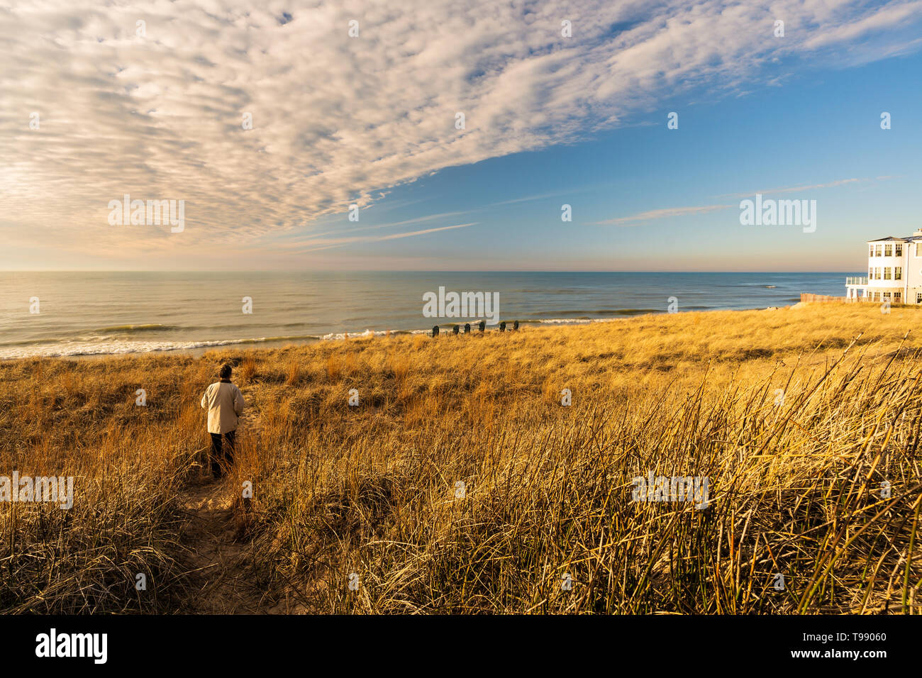 Woman Walks In Golden Sun Lit Tall Grass Toward The Shore Of