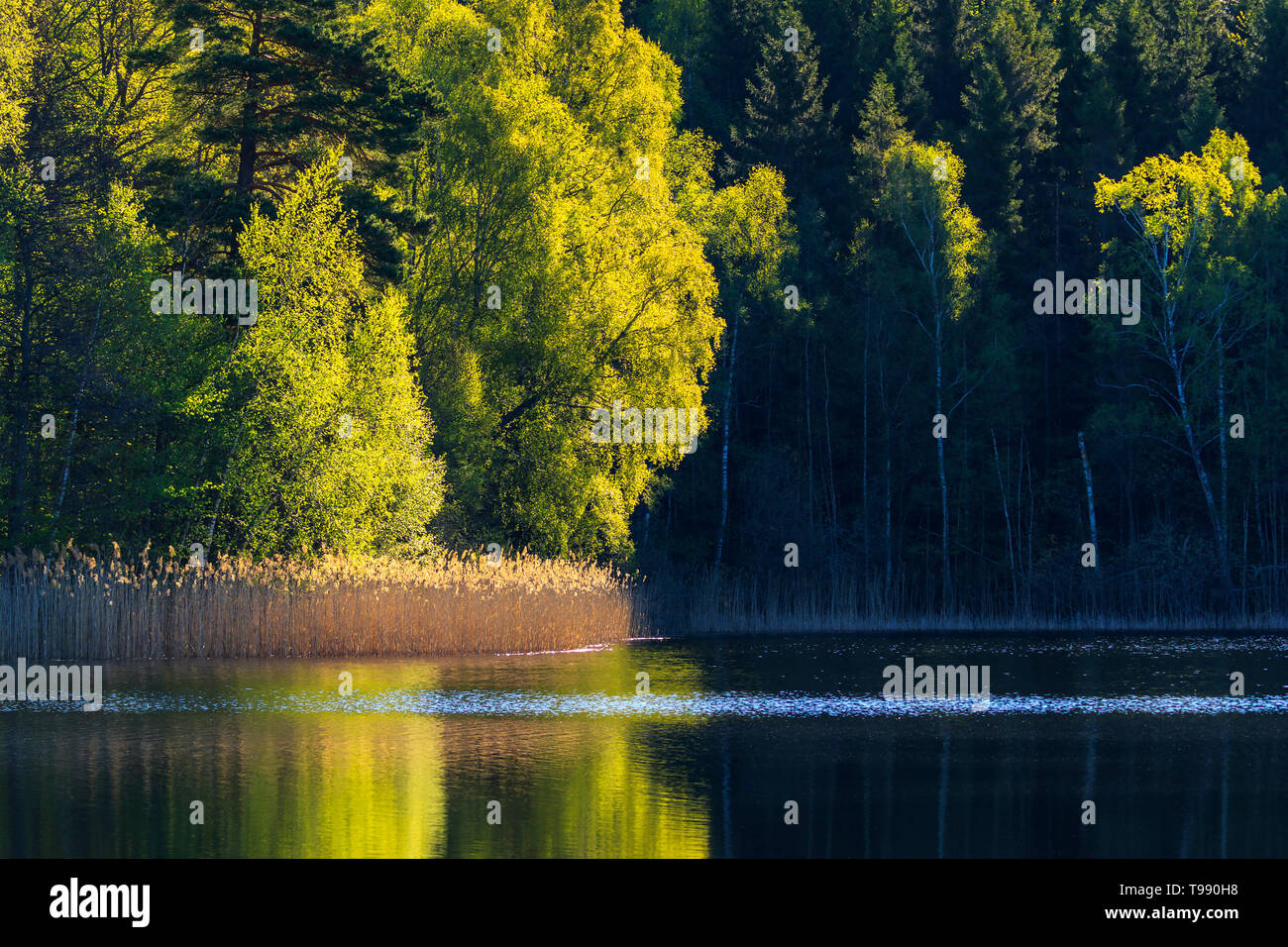 Beautiful lake landscape forest hi-res stock photography and images - Alamy