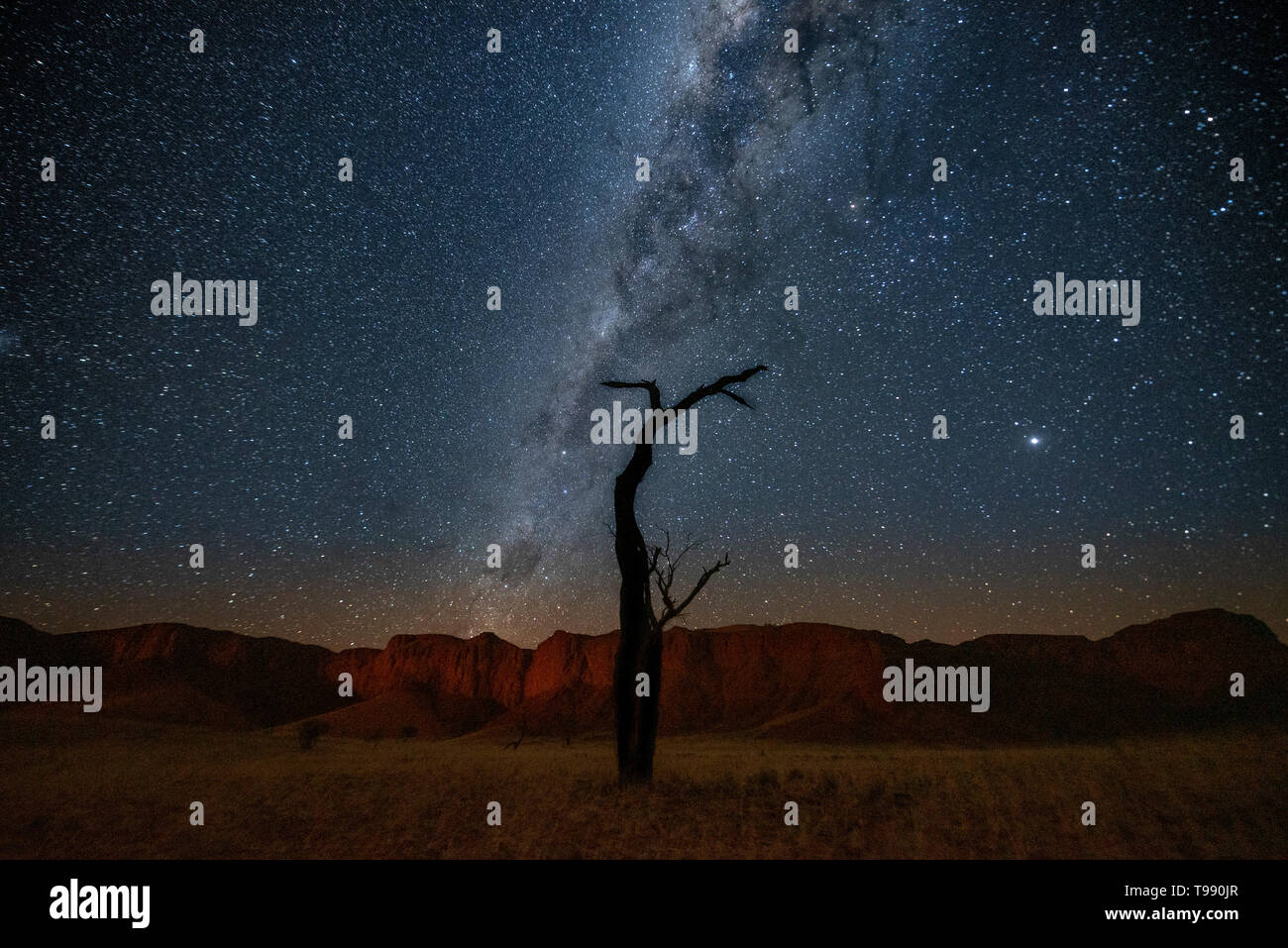 Dead tree in front of Milky Way, Namibia, Africa Stock Photo