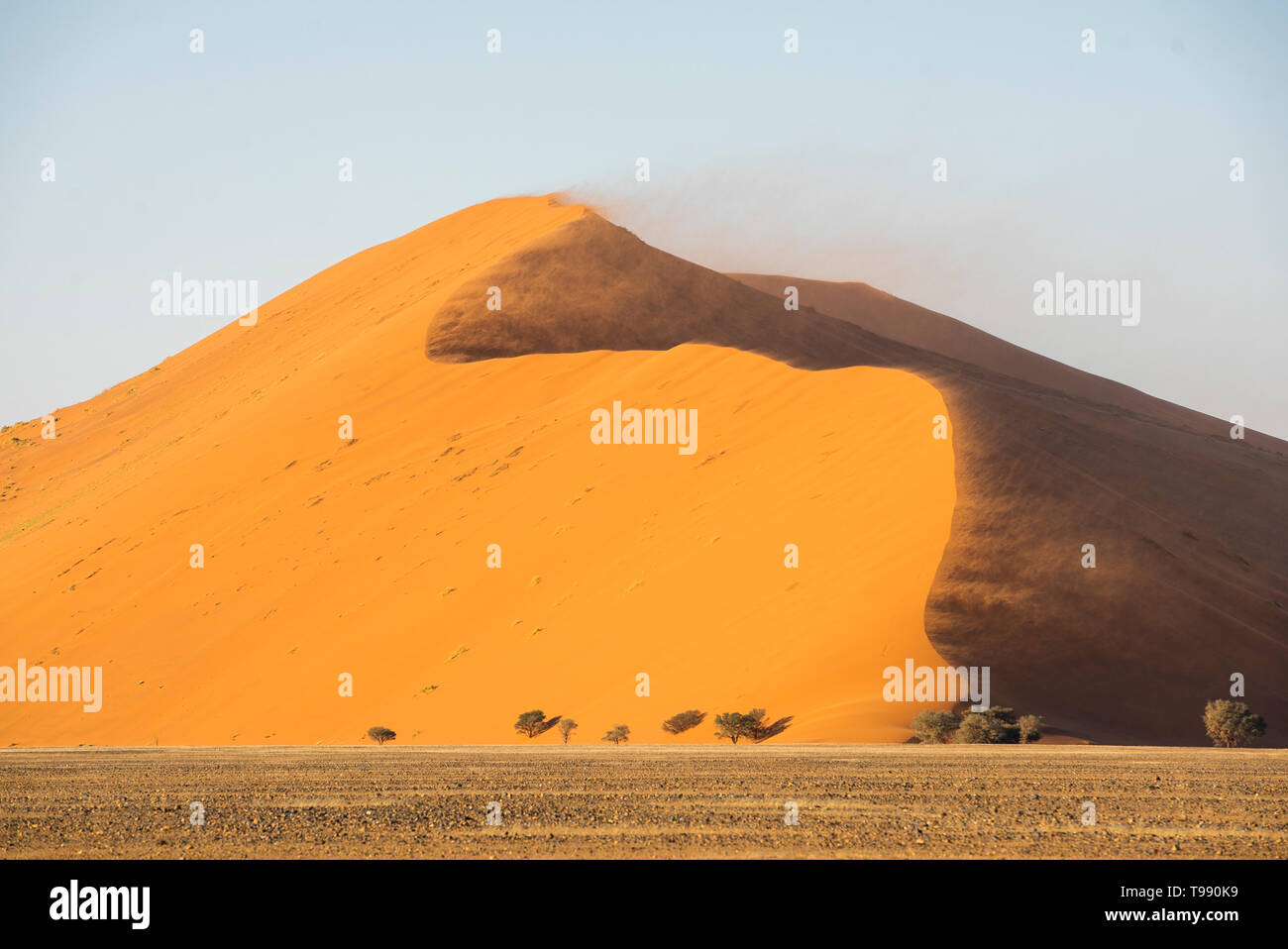 The largest dunes in the world, Sossusvlei, Namibia, Africa Stock Photo