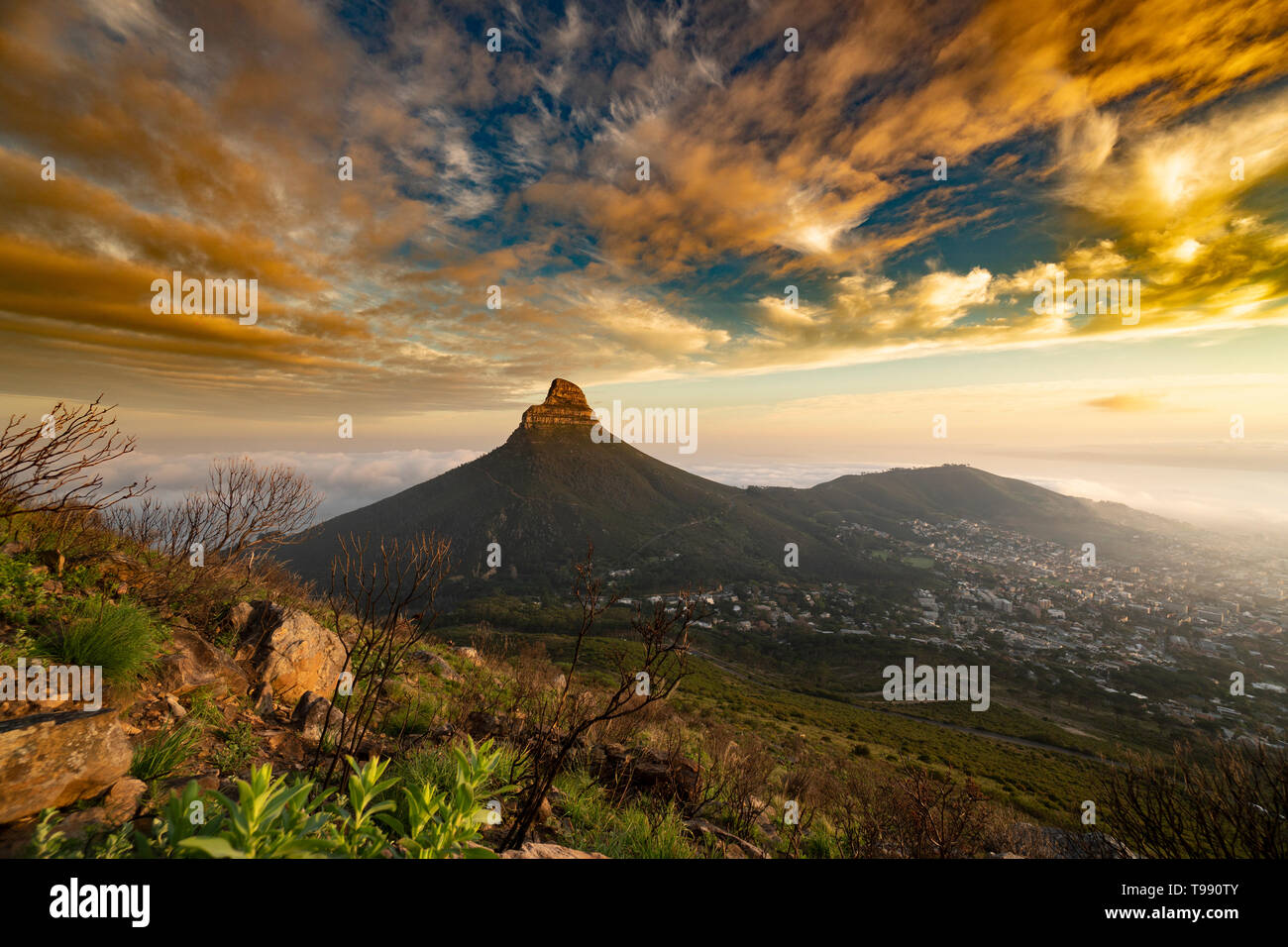 Lions Head, Cape Town, South Africa Stock Photo