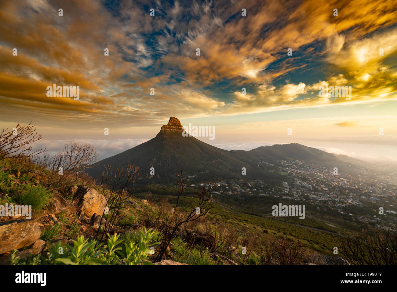 Lion s Head Cape Town View Hi res Stock Photography And Images Alamy