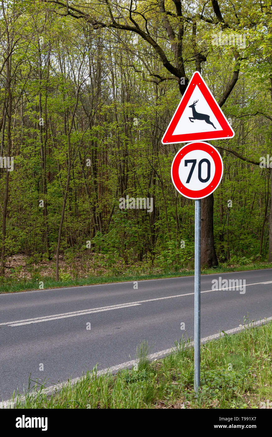 Wildlife crossing signs along a forested stretch of road Stock Photo
