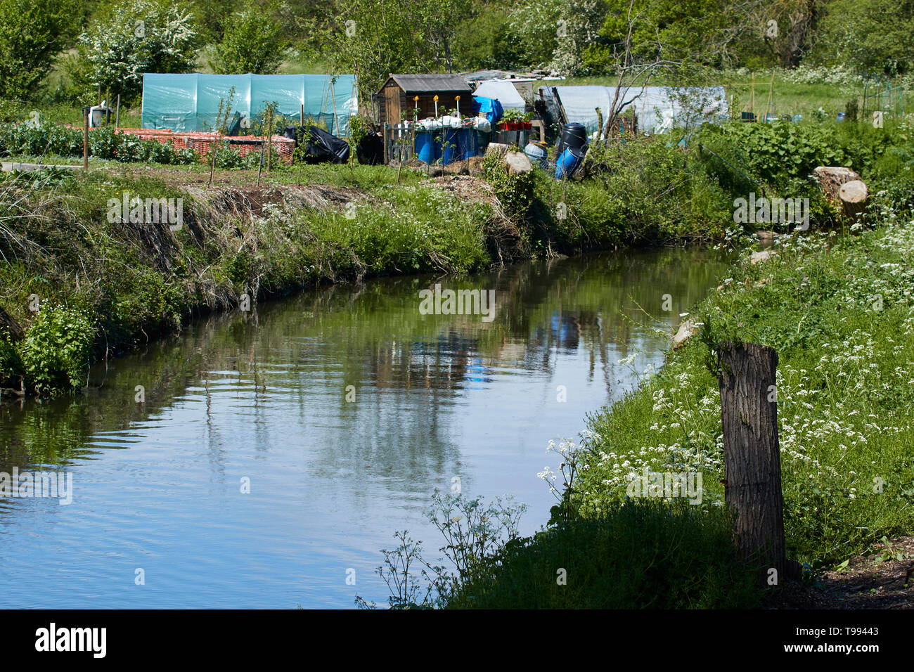 Section of the river Arrow flowing serenely through Alcester