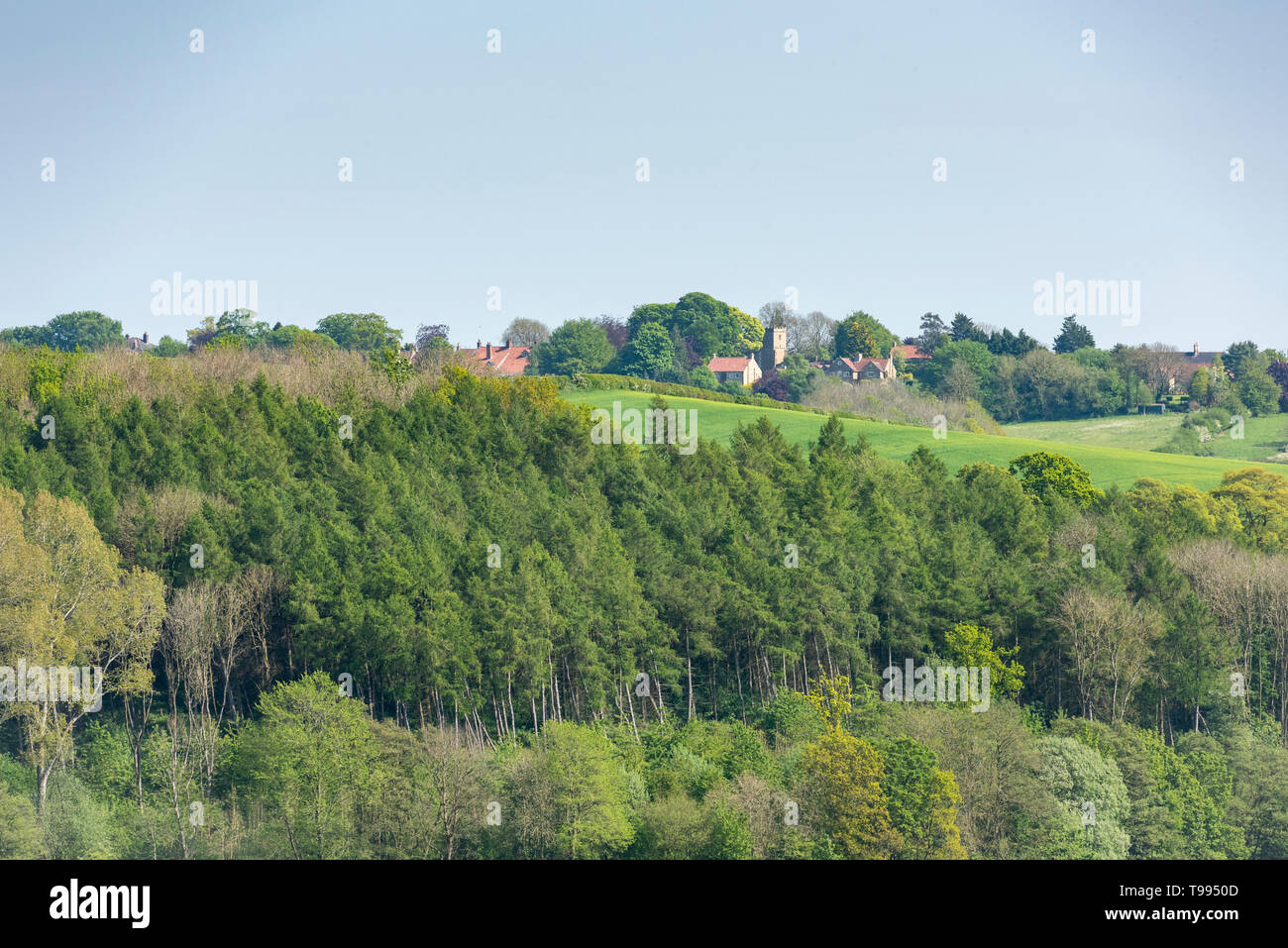 A view across rolling hills and countryside to the village of Bulmer Yorkshire UK in summer Stock Photo