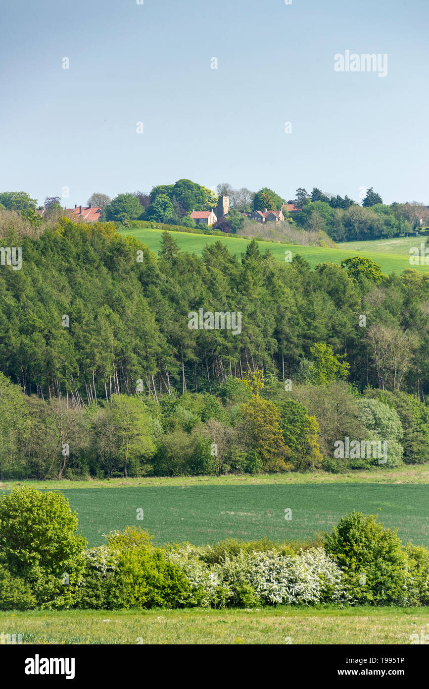 A view across rolling hills and countryside to the village of Bulmer Yorkshire UK in summer Stock Photo