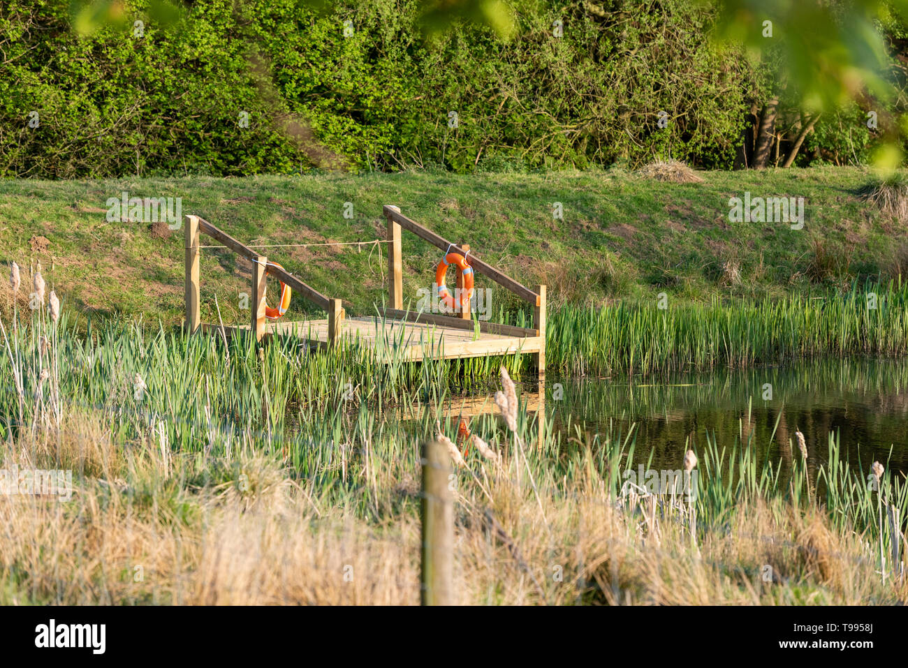 A fishing jetty on a fishing lake at Terrington Yorkshire UK Stock