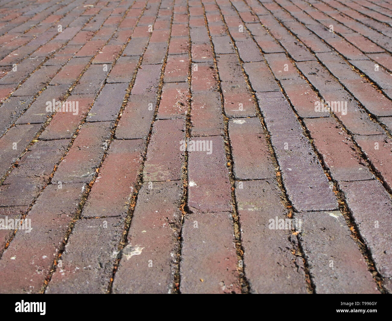 Pattern on a brick faced cobbled path near the University of Northampton, UK Stock Photo Alamy