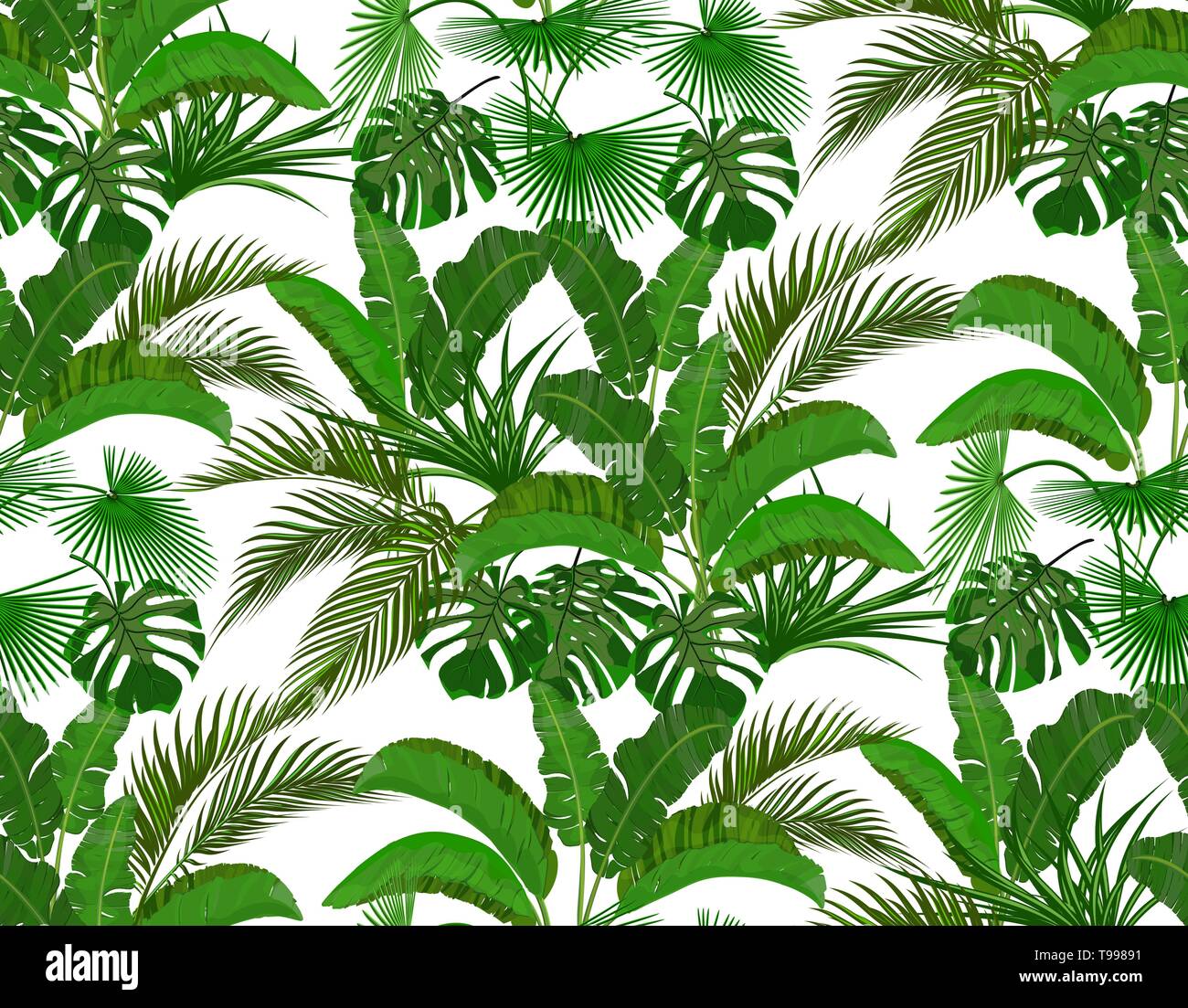 Green tropical leaves of banana, coconut, monstera and ogawa. Seamless illustration Stock Vector