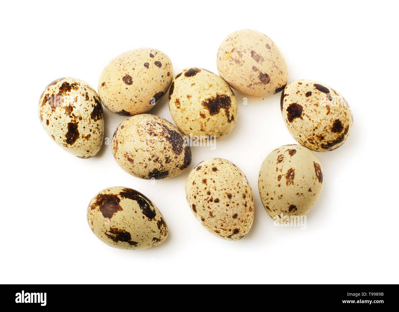 Quail eggs isolated on a white background. Top view. Stock Photo
