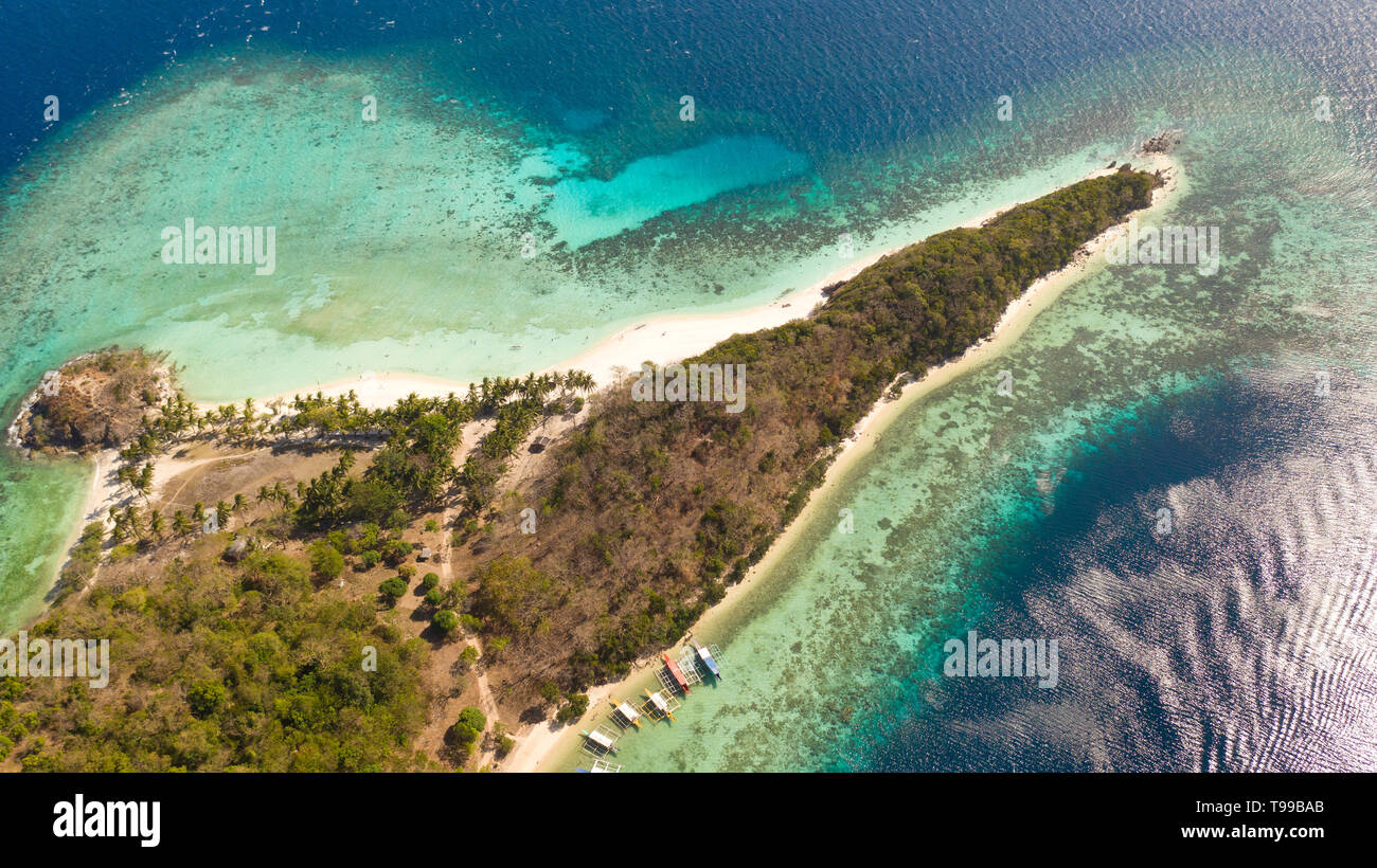 aerial view tropical island with sand white beach, palm trees ...