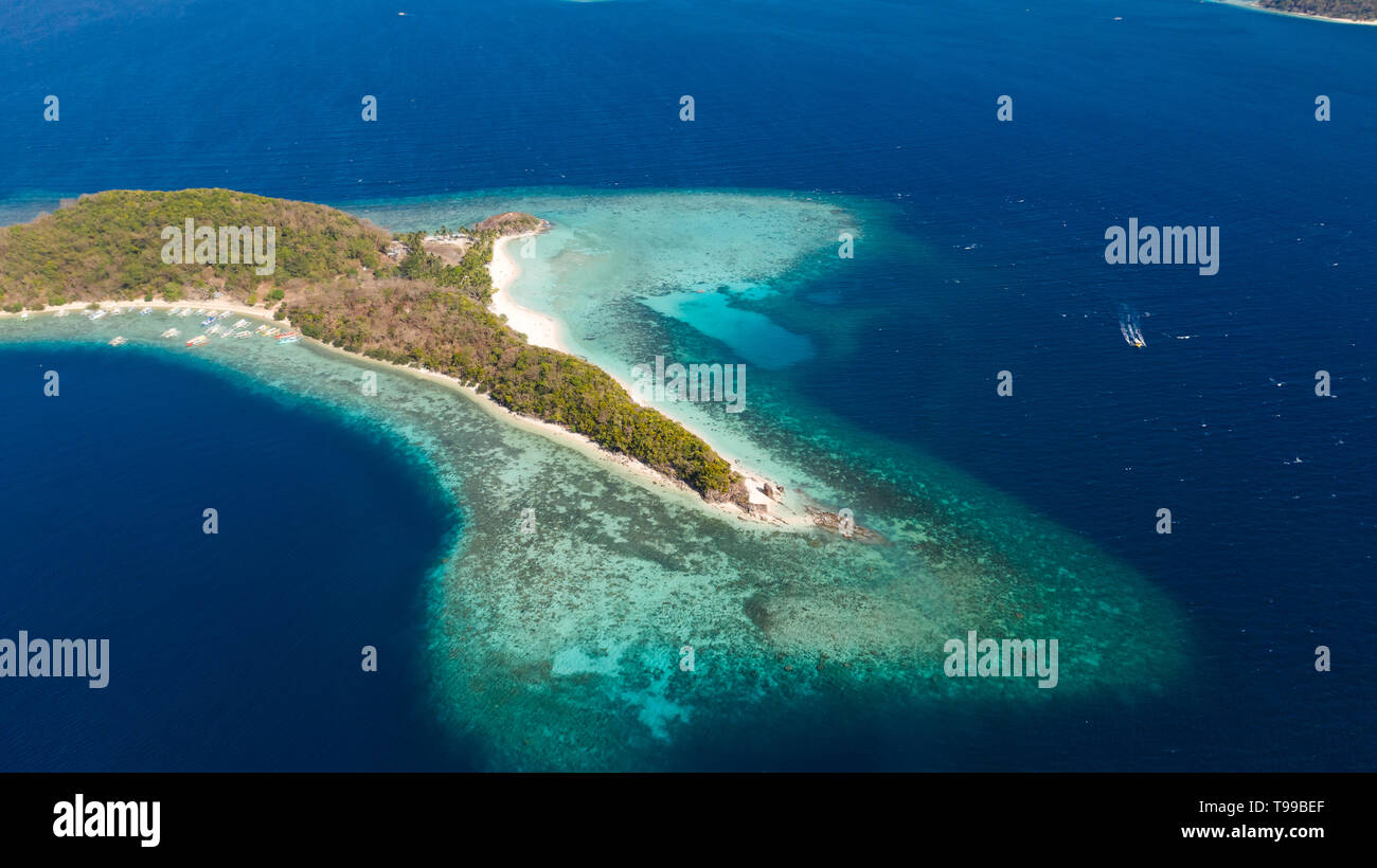 aerial view tropical island with sand white beach, palm trees ...