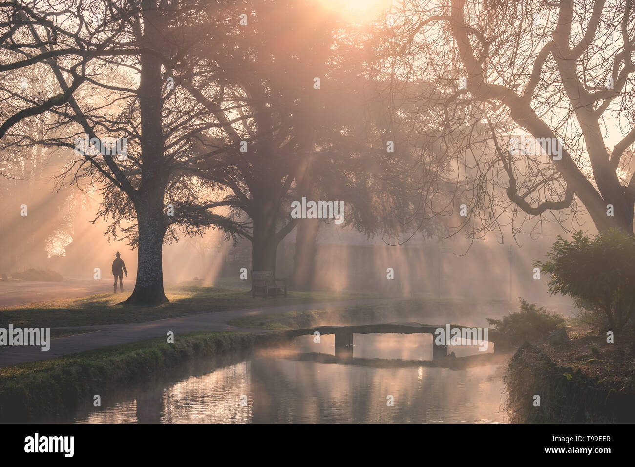 Lower Slaughter in the Cotswolds on a calm misty morning. Sun shines through trees onto River Windrush and person walking Stock Photo
