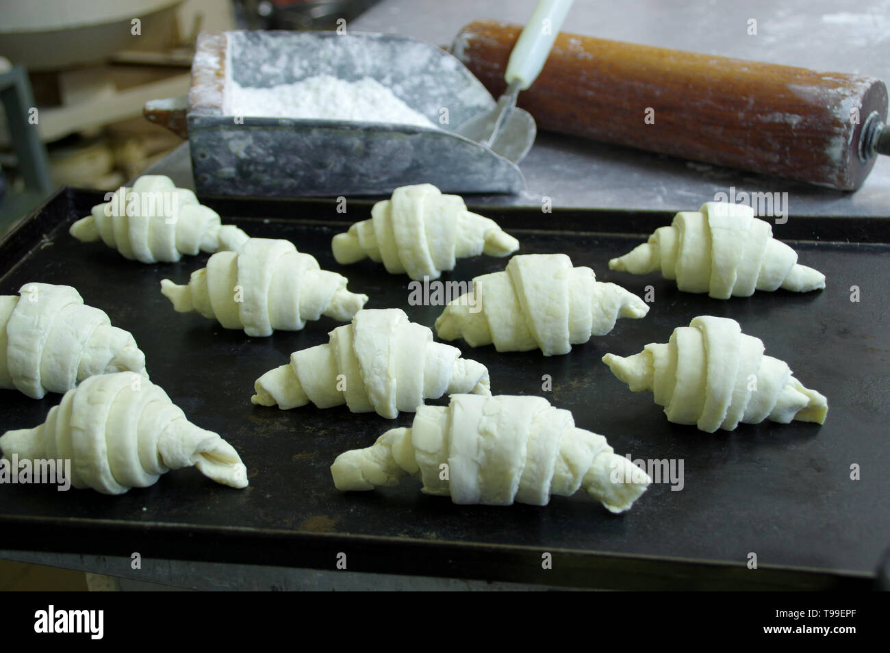 Raw croissants arranged on a baking sheet. Preparation of baking dough in a pastry shop. Flour and roller in the background. Stock Photo