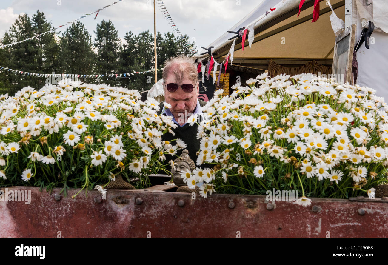 Man standing behind flowers, looking at something hidden behind flowers, Ripley Decorative Home and Salvage Show, Ripley, North Yorkshire, England, UK Stock Photo
