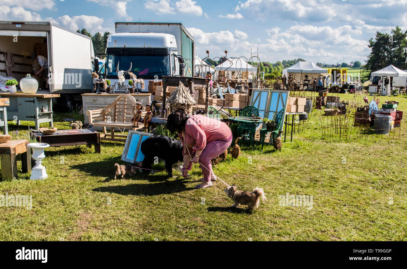 Woman bending over whilst walking dogs through Ripley Decorative Home and Salvage Show, Ripley, North Yorkshire, England, UK Stock Photo