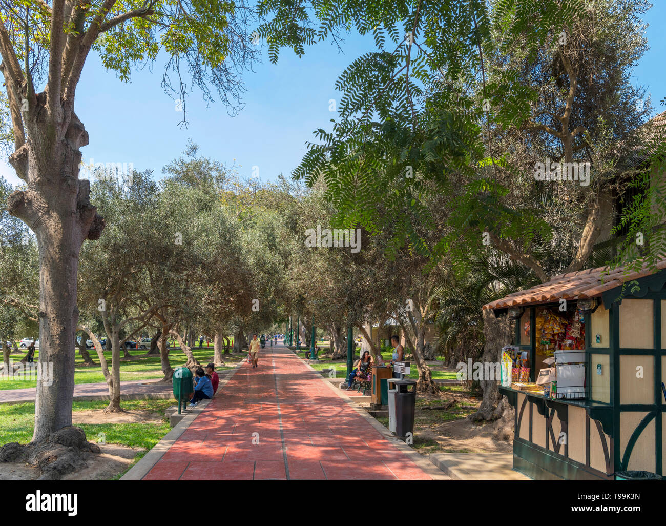 Parque El Olivar (Olive Tree Park), San Isidro neighbourhood, Lima, Peru, South America Stock Photo