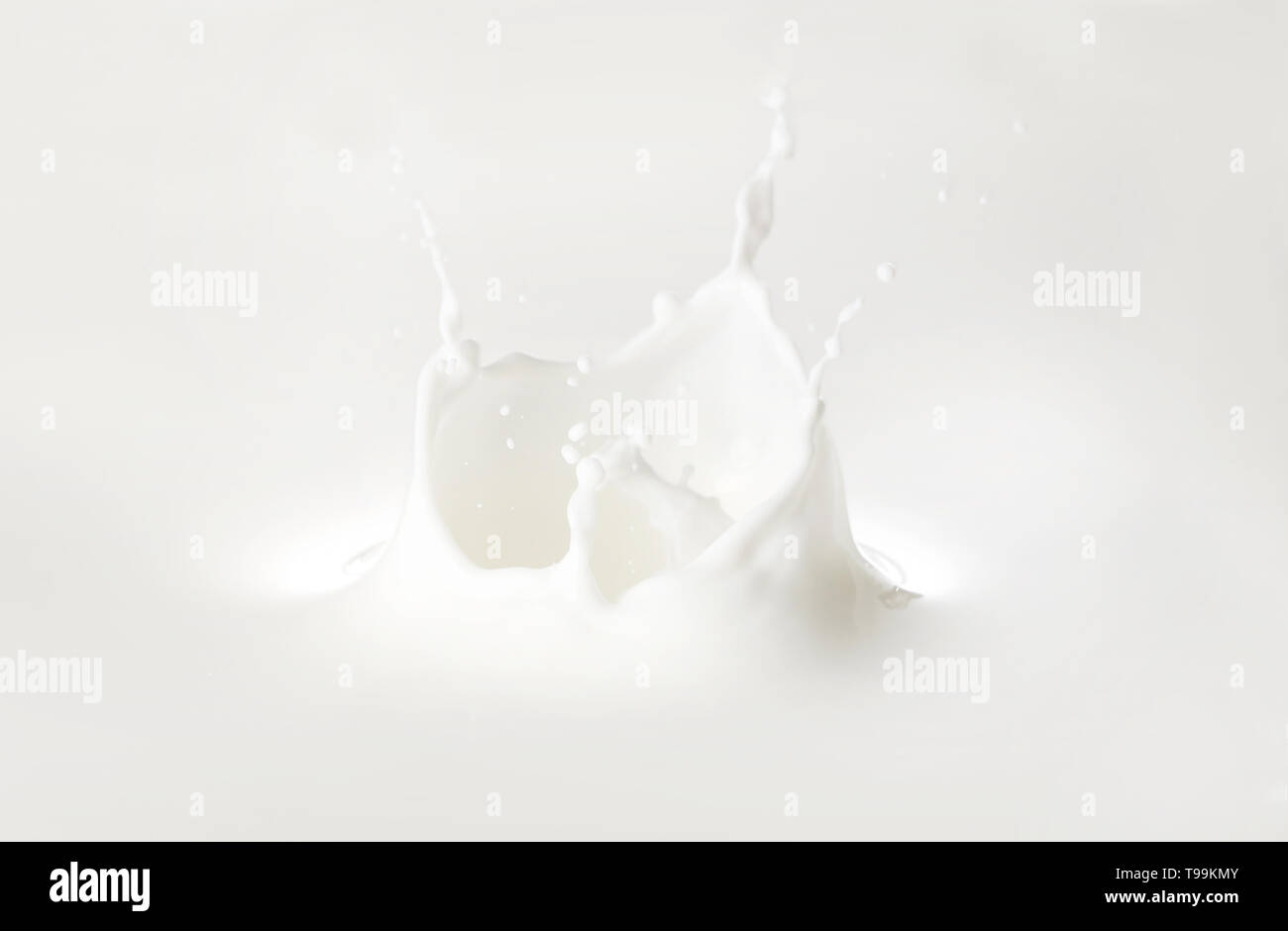 Splash of milk on white background Stock Photo - Alamy