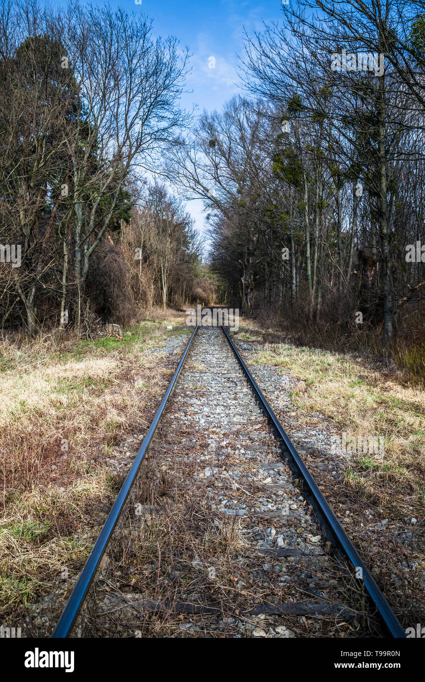Rusted rails into forest, Upright format Stock Photo