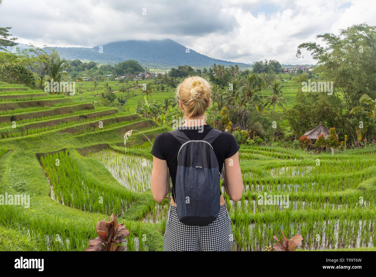 Ainzin backpack online