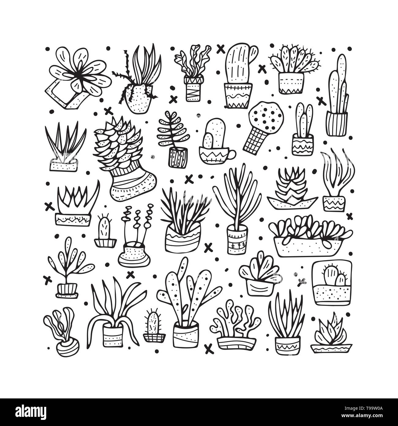 Succulents in doodle style. Set of house plants. Poster, banner ...